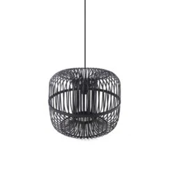 Sundown Small, Rottinkinen Musta Kattovalaisin, BY-BOO