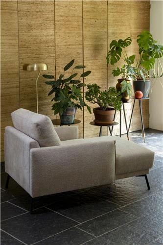 Seslonki Nojatuoli, Väri Beige 3 Seslonki Nojatuoli, Väri Beige - Image 3