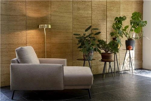 Seslonki Nojatuoli, Väri Beige 2 Seslonki Nojatuoli, Väri Beige - Image 2