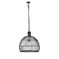 Las Salinas Musta Rottinkivalaisin