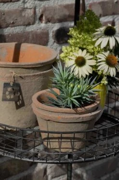 Natural Collections “sammaleinen” Rustiikki Saviruukku L -Snugg File0608 1