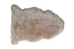 Lampaantalja, Värjätty Samppanja