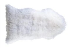 Lampaantalja, Valkoinen