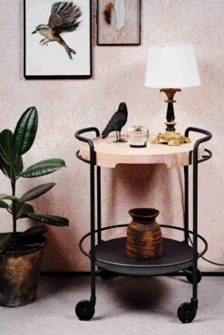 TRAYit Tarjotin Kuultava Valkoinen, SACKit -Snugg SERVEitWSTRAYit3 1