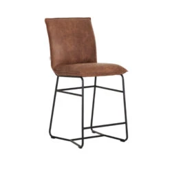 Delaware Konjakinvärinen Baarijakkara