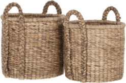 Korkeat Säilytyskorit Letityksellä, Vesihyasinttia