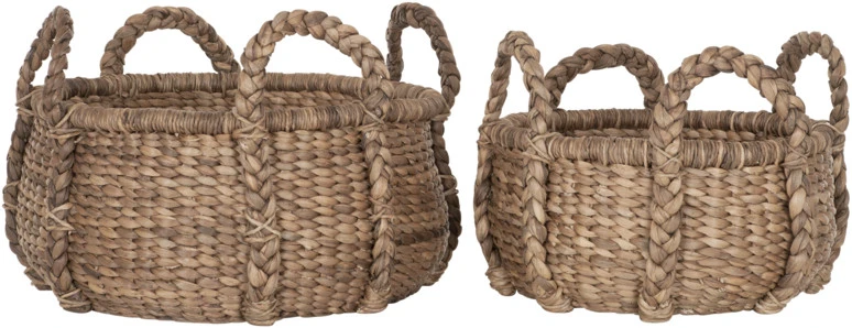 Matalat Säilytyskorit Letityksellä, Vesihyasinttia