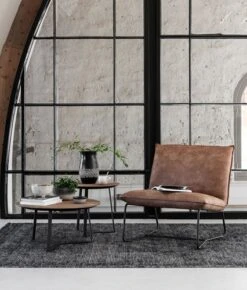 Delaware Konjakinvärinen Nojatuoli 8 Delaware Konjakinvärinen Nojatuoli -Snugg coffee tables venus natural plus lounge chair delaware sfeer 1 1 1