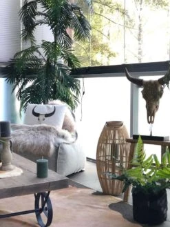 Islanninlampaantalja, Vaalea Blondi -Snugg f7a1787c d19d 4e51 b542 3406b0853fd1 1