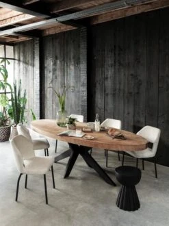 Trophy Puujakkara -Snugg ma 940457 darwin dining table ml 749515 bloom side chair ml 456001 trophy 1