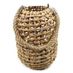 Punottu Lyhty, Vesihyasinttiä